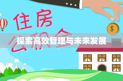 泰山探索高效管理与未来发展