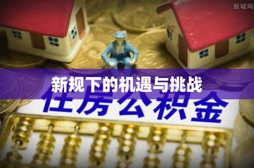 泰山新规下的机遇与挑战