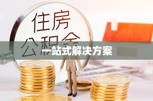 泰山一站式解决方案