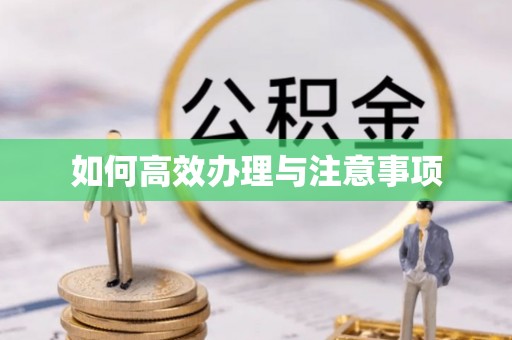 泰山如何高效办理与注意事项