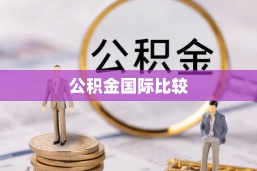 泰山公积金国际比较