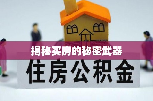 泰山揭秘买房的秘密武器