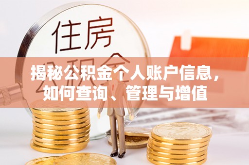 泰山揭秘公积金个人账户信息，如何查询、管理与增值