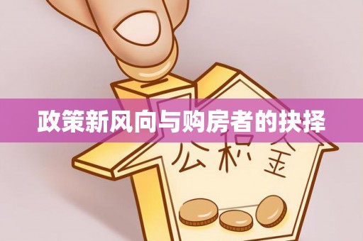 泰山政策新风向与购房者的抉择
