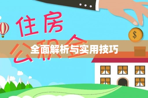 泰山全面解析与实用技巧