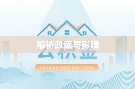 泰山解析政策与影响