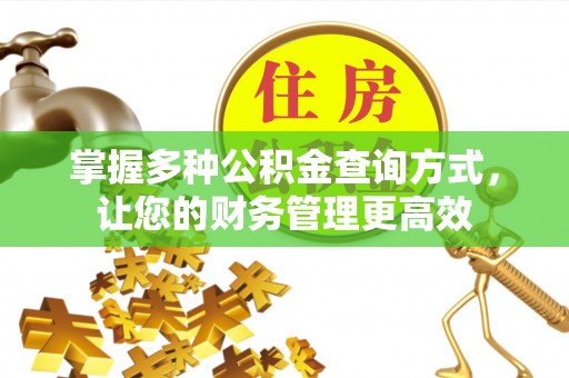 泰山掌握多种公积金查询方式，让您的财务管理更高效