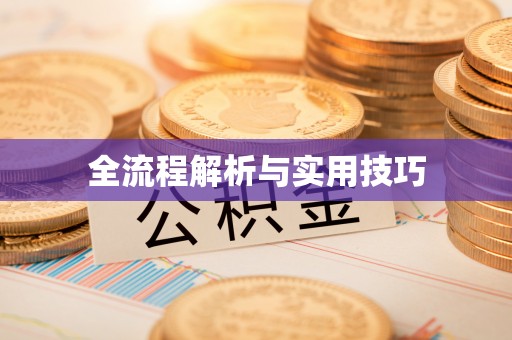 泰山全流程解析与实用技巧