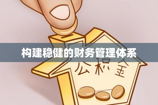 泰山构建稳健的财务管理体系
