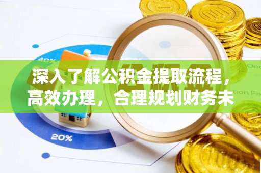 泰山深入了解公积金提取流程，高效办理，合理规划财务未来