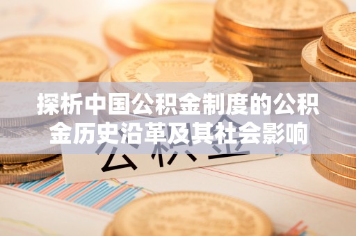 泰山探析中国公积金制度的公积金历史沿革及其社会影响