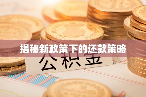 泰山揭秘新政策下的还款策略