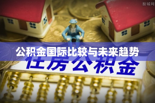 泰山公积金国际比较与未来趋势