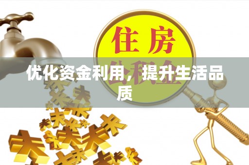 泰山优化资金利用，提升生活品质