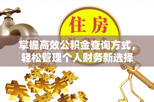 泰山掌握高效公积金查询方式，轻松管理个人财务新选择