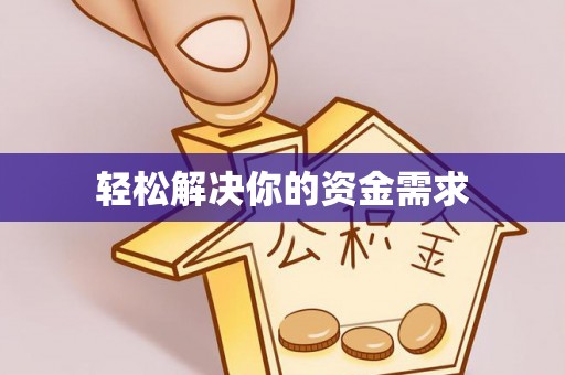 泰山轻松解决你的资金需求
