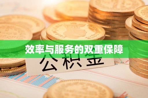 泰山效率与服务的双重保障