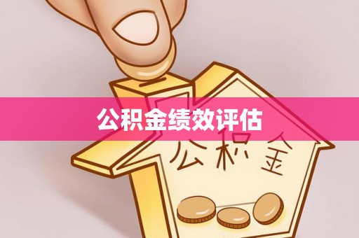 泰山公积金绩效评估