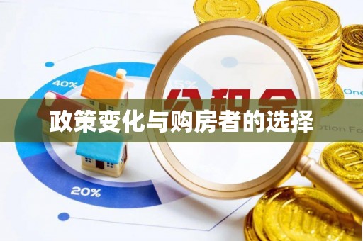 泰山政策变化与购房者的选择