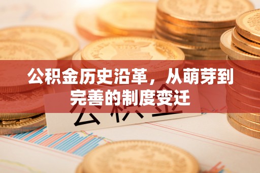 泰山公积金历史沿革，从萌芽到完善的制度变迁