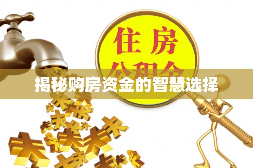 泰山揭秘购房资金的智慧选择