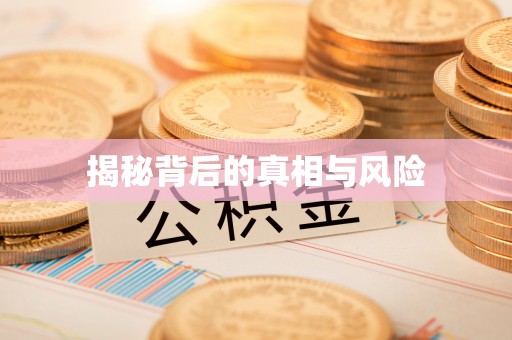 泰山揭秘背后的真相与风险