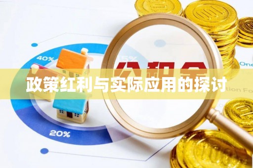 泰山政策红利与实际应用的探讨