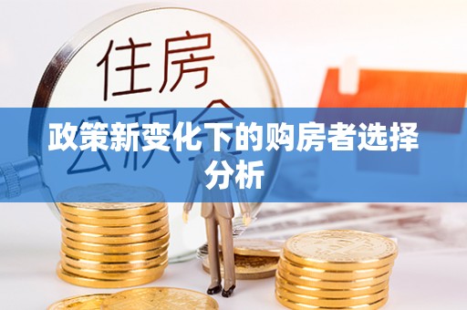 泰山政策新变化下的购房者选择分析