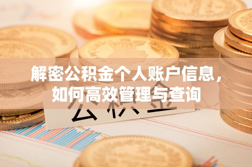 泰山解密公积金个人账户信息，如何高效管理与查询