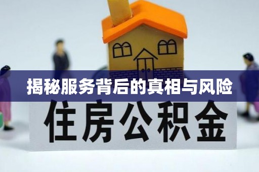 泰山揭秘服务背后的真相与风险