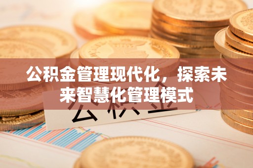 泰山公积金管理现代化，探索未来智慧化管理模式