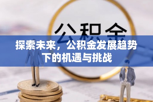 泰山探索未来，公积金发展趋势下的机遇与挑战