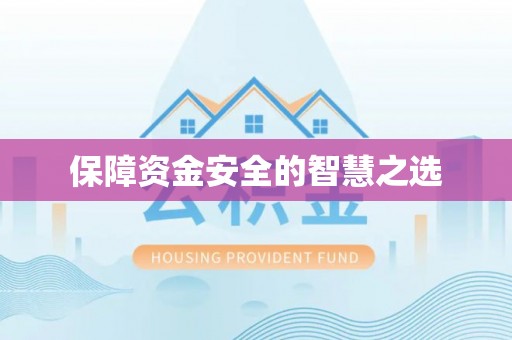 泰山保障资金安全的智慧之选