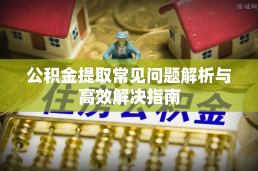 泰山公积金提取常见问题解析与高效解决指南