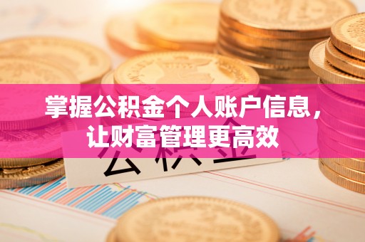 泰山掌握公积金个人账户信息，让财富管理更高效