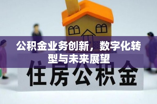 泰山公积金业务创新，数字化转型与未来展望