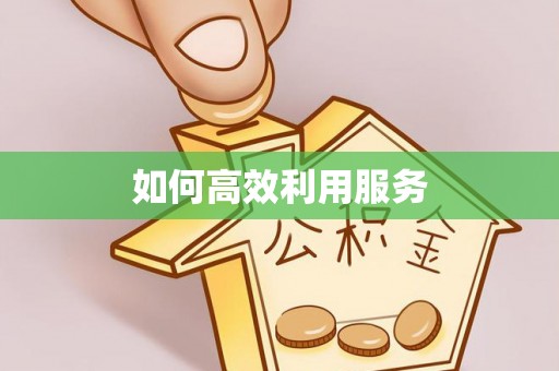 泰山如何高效利用服务