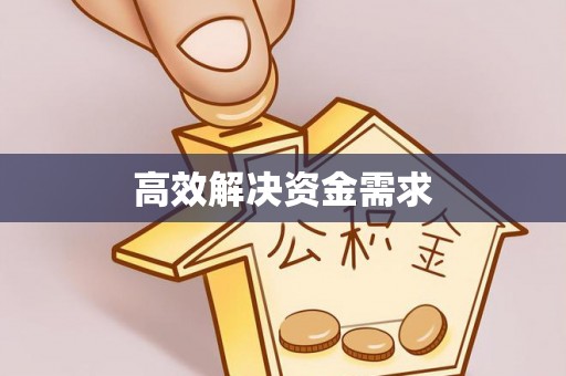 泰山高效解决资金需求