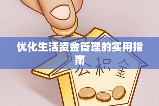 泰山优化生活资金管理的实用指南