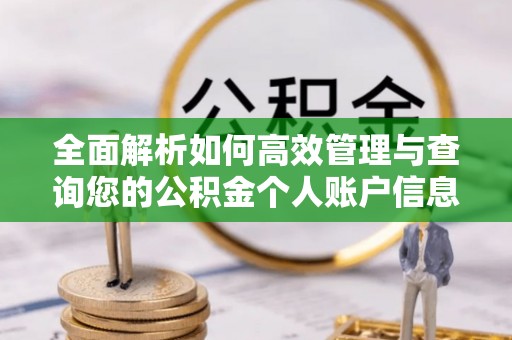 泰山全面解析如何高效管理与查询您的公积金个人账户信息