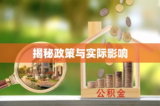 泰山揭秘政策与实际影响