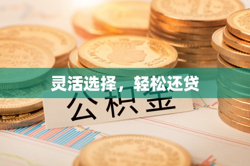 泰山灵活选择，轻松还贷