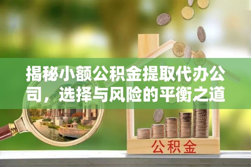 泰山揭秘小额公积金提取代办公司，选择与风险的平衡之道
