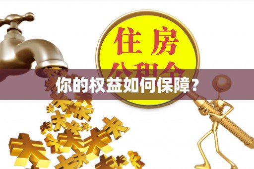 泰山你的权益如何保障？
