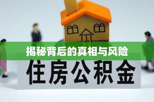 泰山揭秘背后的真相与风险