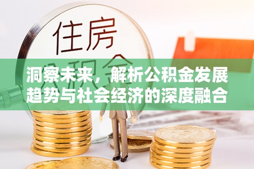 泰山洞察未来，解析公积金发展趋势与社会经济的深度融合