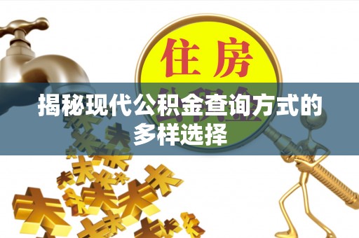泰山揭秘现代公积金查询方式的多样选择
