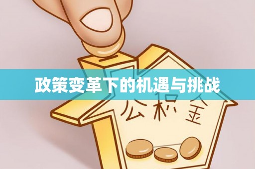 泰山政策变革下的机遇与挑战