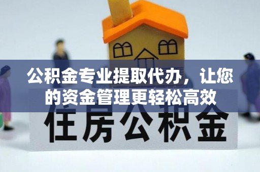 泰山公积金专业提取代办，让您的资金管理更轻松高效