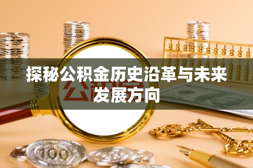 泰山探秘公积金历史沿革与未来发展方向
